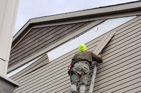 Custom Trim and Detailing for Siding in Panaca, NV